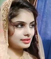 Never Married Hindi Muslim Brides in 0,
